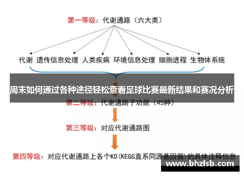 周末如何通过各种途径轻松查看足球比赛最新结果和赛况分析